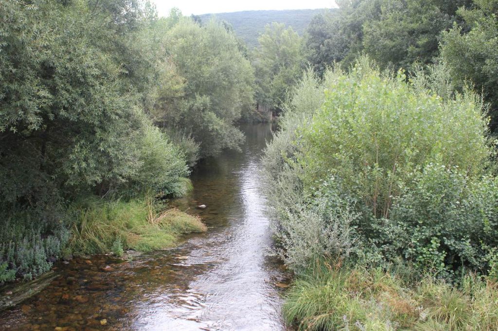 Tramo recto del río entre el bosque de ribera en la reserva natural fluvial Alto Omaña