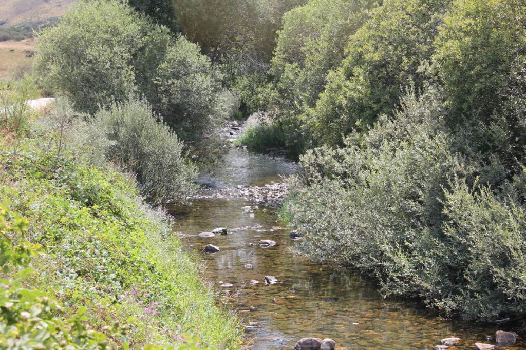 Vista general de un tramo del río y su bosque de ribera en la reserva natural fluvial Alto Porma y río Isoba