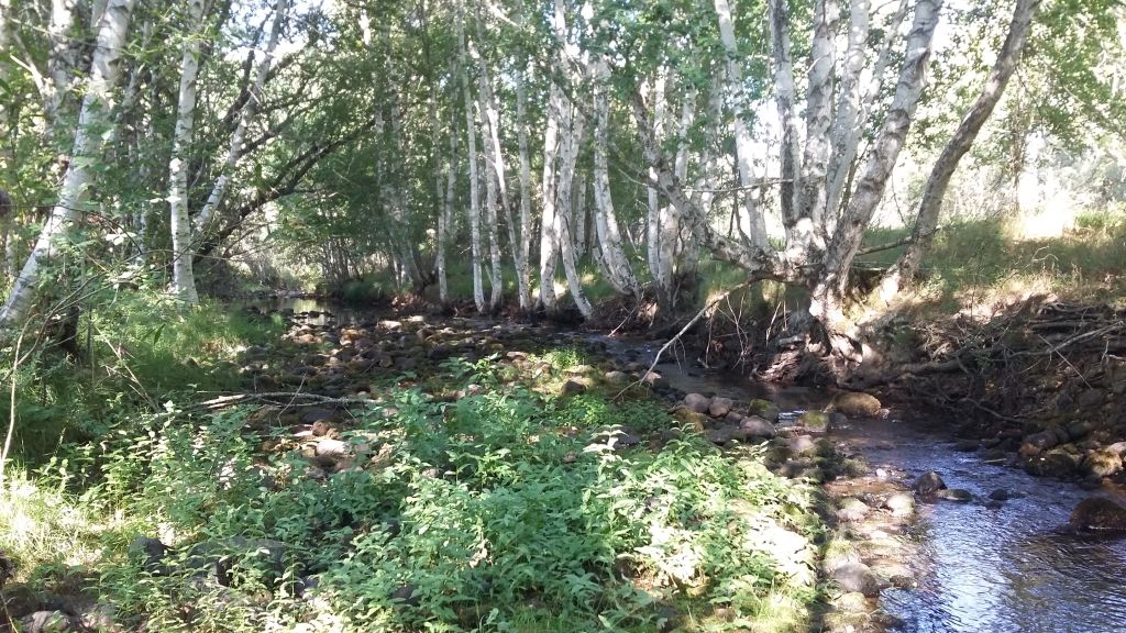 Barra lateral formada en el río en la reserva natural fluvial Alto Razón