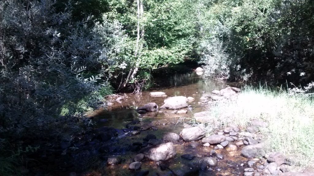 Lecho de cantos y bloques entre vegetación de ribera en la reserva natural fluvial Alto Razón