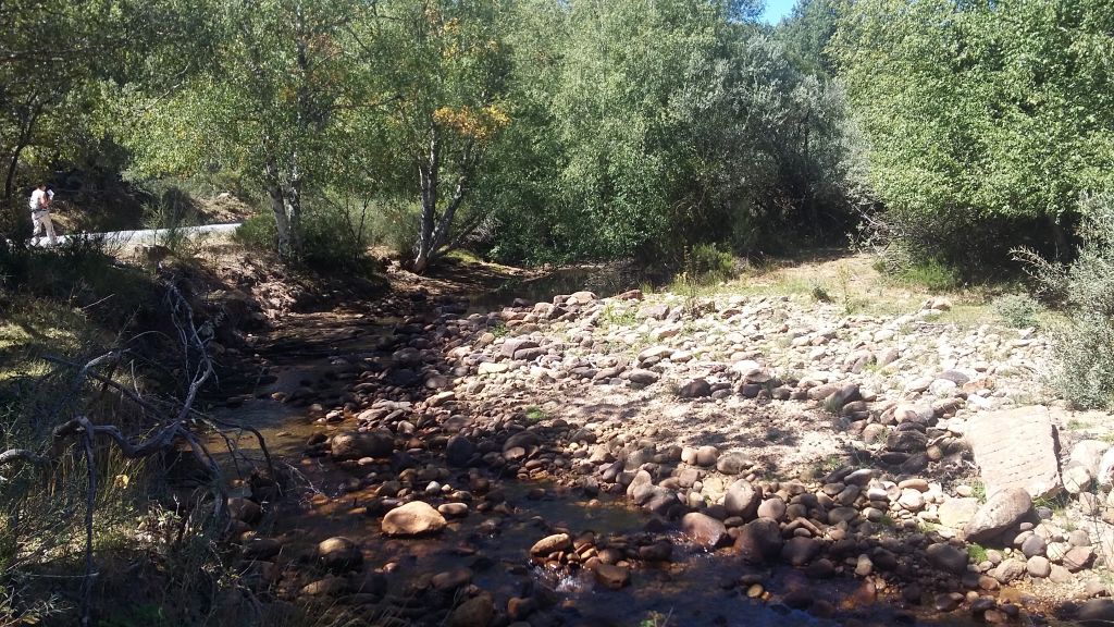 Depósitos en el lecho del río en la reserva natural fluvial Alto Razón