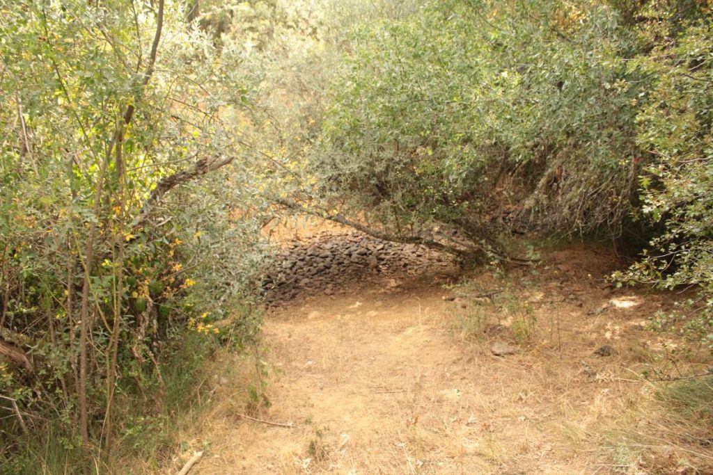 Cauce del río que se ha mantenido sin lámina de agua durante un largo periodo en la reserva natural fluvial Arroyo Rebedul