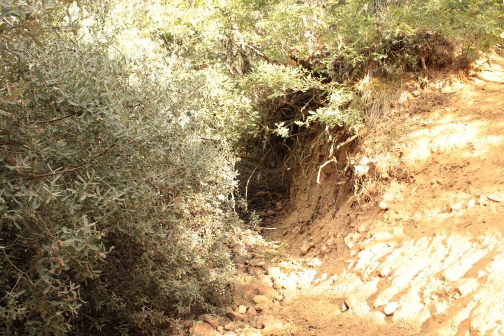 Fenómeno erosivo causado por el río en la reserva natural fluvial Arroyo Rebedul
