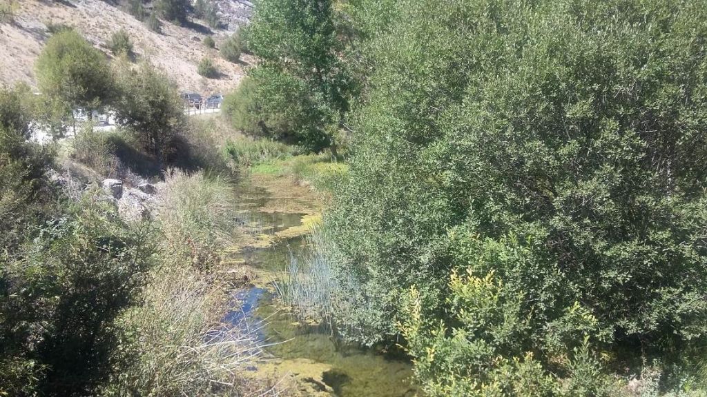 Tramo del río con zona de uso público al fondo en la reserva natural fluvial Hoces de Muriel de la Fuente