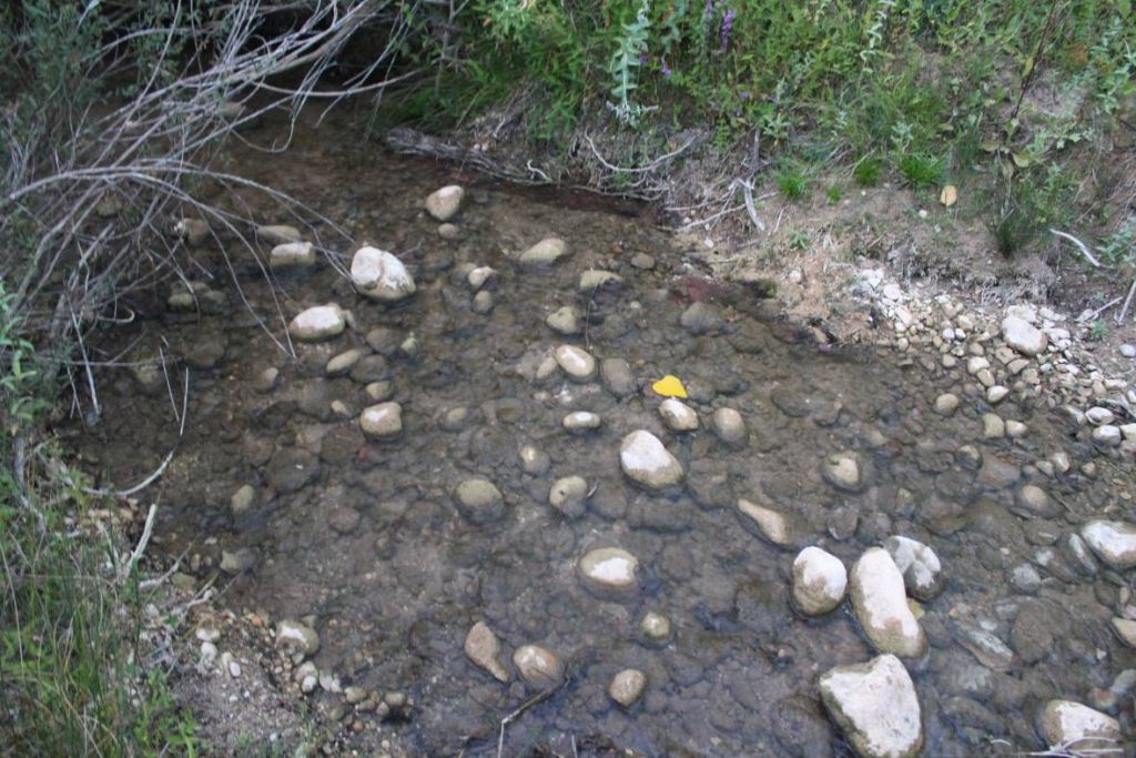 Cantos y bloques arrastrados por el río en la reserva natural fluvial Río Mataviejas, Desfiladeros de La Yecla y Peña Cervera