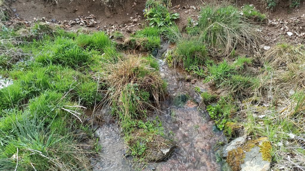 Drenaje difuso hacia el arroyo Rebanal