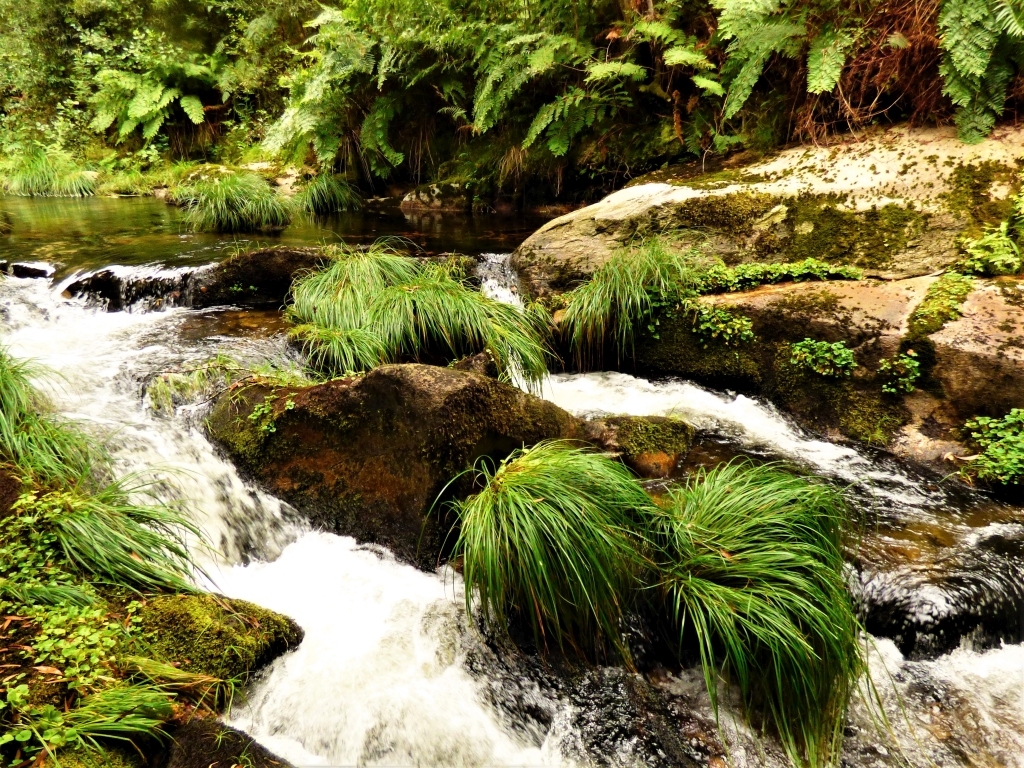 Reserva Natural Fluvial del Río Cobo. Zona: Cobo
