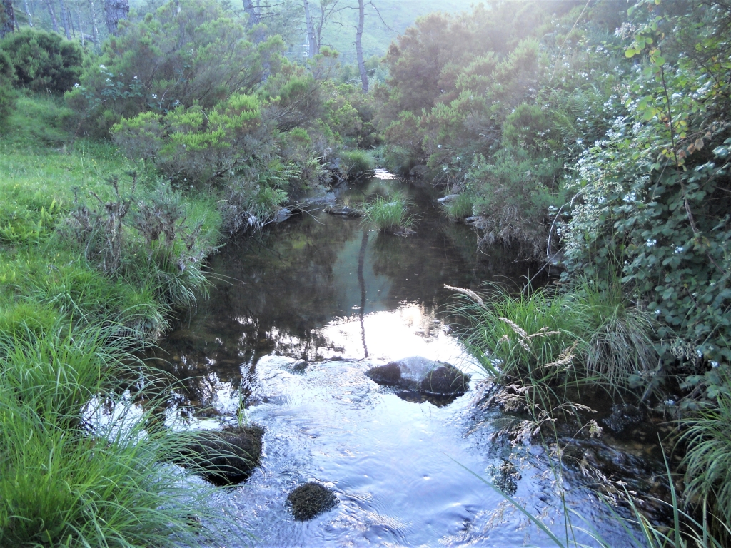 Reserva Natural Fluvial del Río Masma. Zona: Masma I