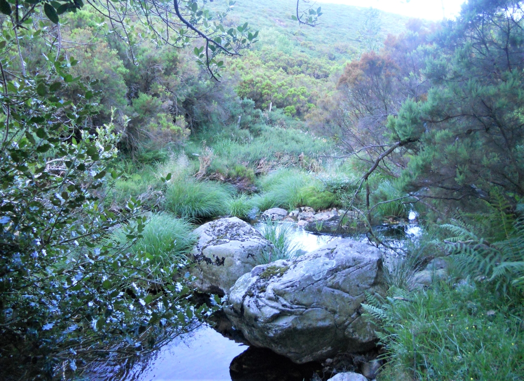 Reserva Natural Fluvial del Río Masma. Zona: Masma I