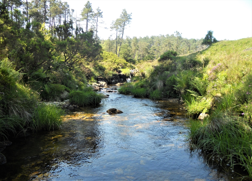 Reserva Natural Fluvial del Río Masma. Zona: Masma II