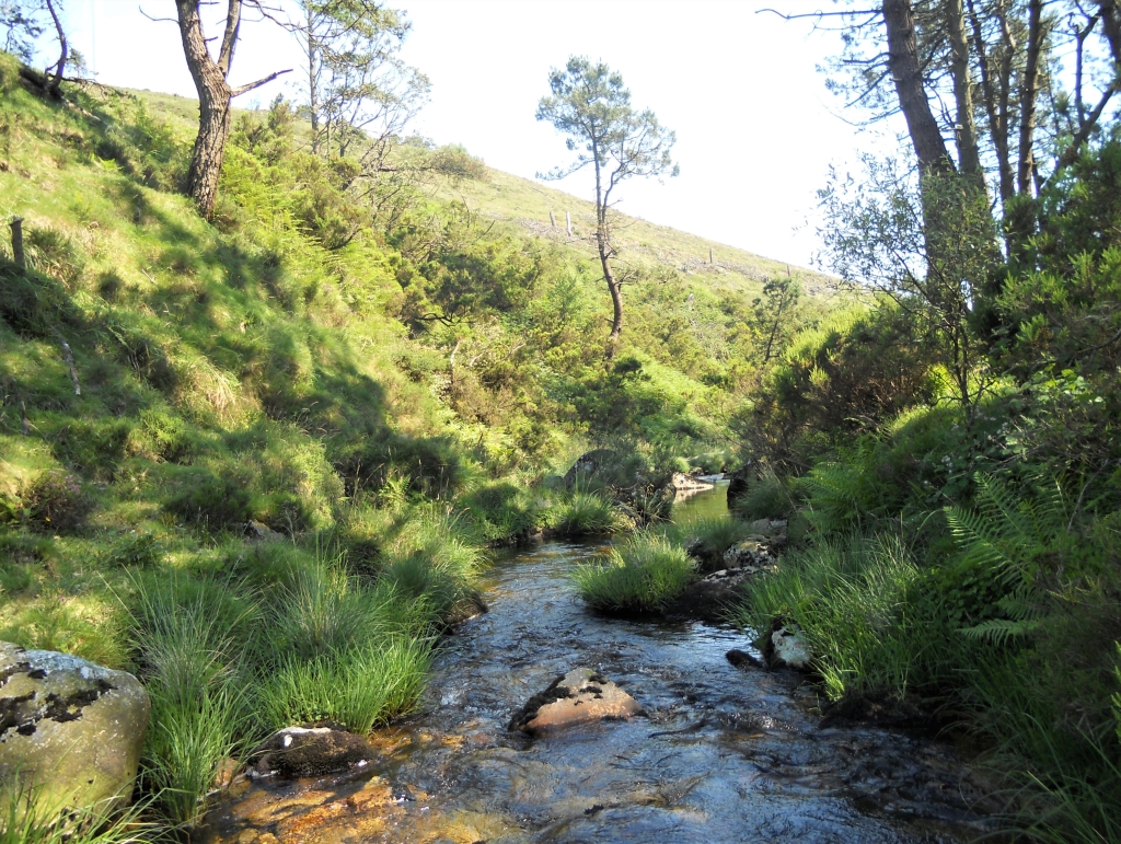 Reserva Natural Fluvial del Río Masma. Zona: Masma II