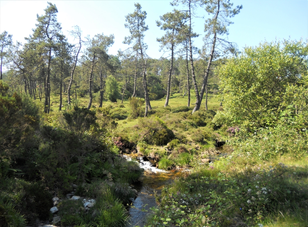 Reserva Natural Fluvial del Río Masma. Zona: Masma II