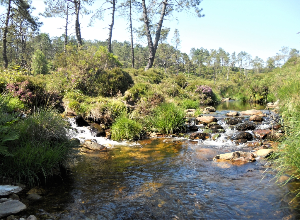 Reserva Natural Fluvial del Río Masma. Zona: Masma II