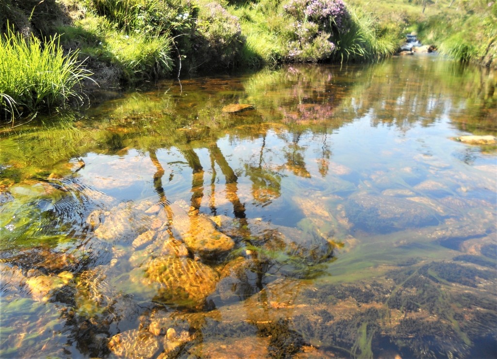 Reserva Natural Fluvial del Río Masma. Zona: Masma II