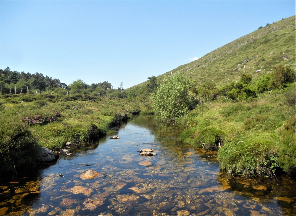 Reserva Natural Fluvial del Río Masma. Zona: Masma II