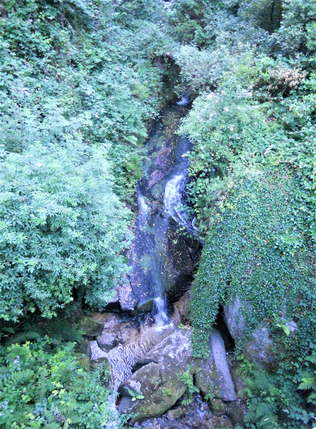 Reserva Natural Fluvial del Río Ouro. Zona: Rego das Cancelas