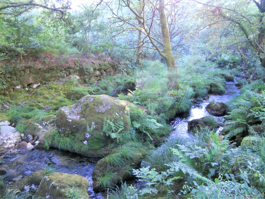 Reserva Natural Fluvial del Río Parada de Valdohome. Zona: Parada de Valdohome