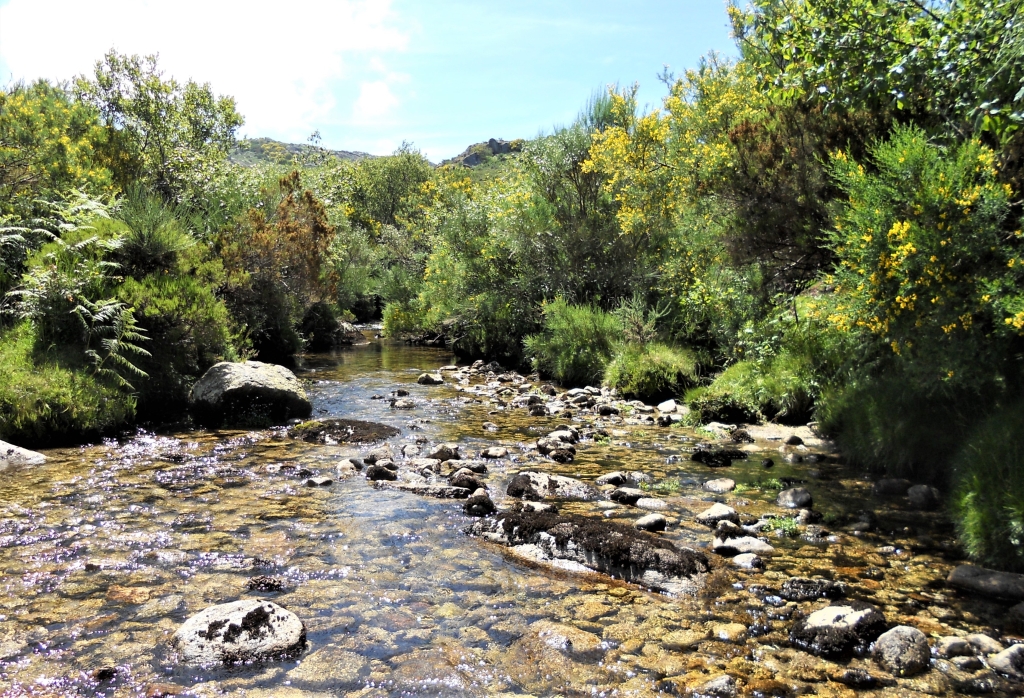 Reserva Natural Fluvial del Río Parada de Valdohome. Zona: Parada de Valdohome
