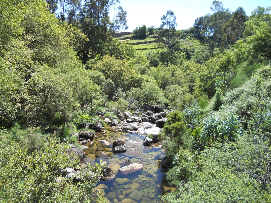 Reserva Natural Fluvial del Río Parada de Valdohome. Zona: Parada de Valdohome