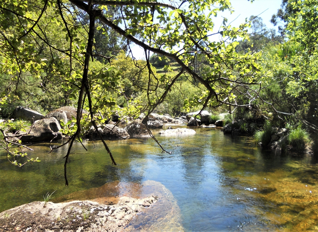 Reserva Natural Fluvial del Río Parada de Valdohome. Zona: Parada de Valdohome