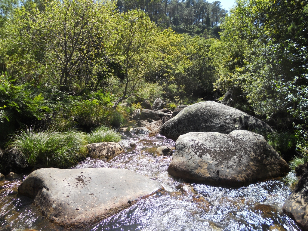 Reserva Natural Fluvial del Río Parada de Valdohome. Zona: Parada de Valdohome