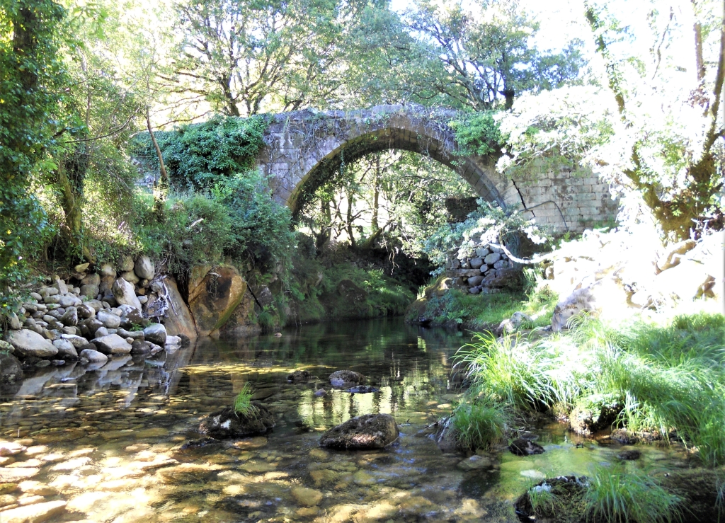Reserva Natural Fluvial del Río Parada de Valdohome. Zona: Parada de Valdohome