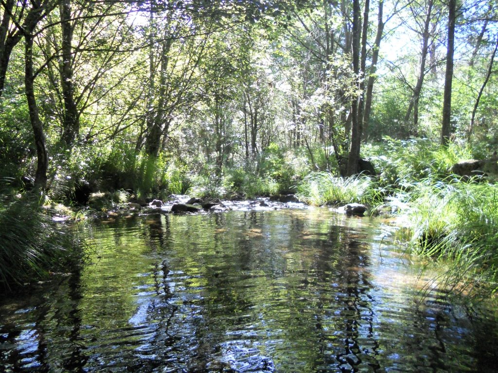 Reserva Natural Fluvial del Río Ulla-Deza. Zona: Candán