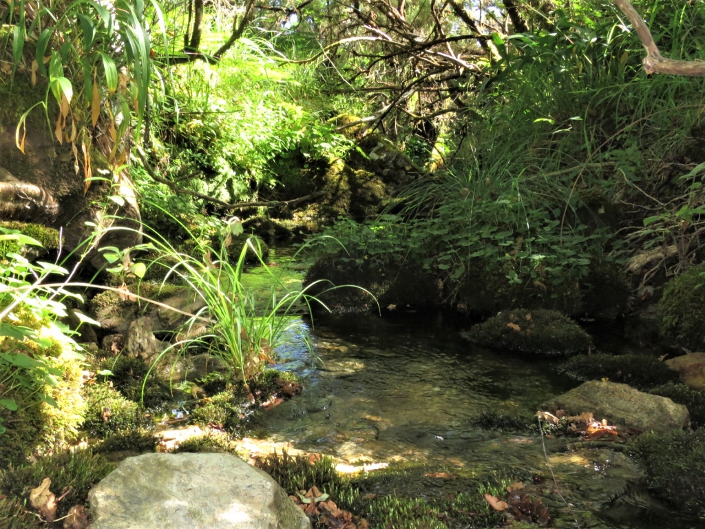 Reserva Natural Fluvial del Río Ulla-Deza. Zona: Candán