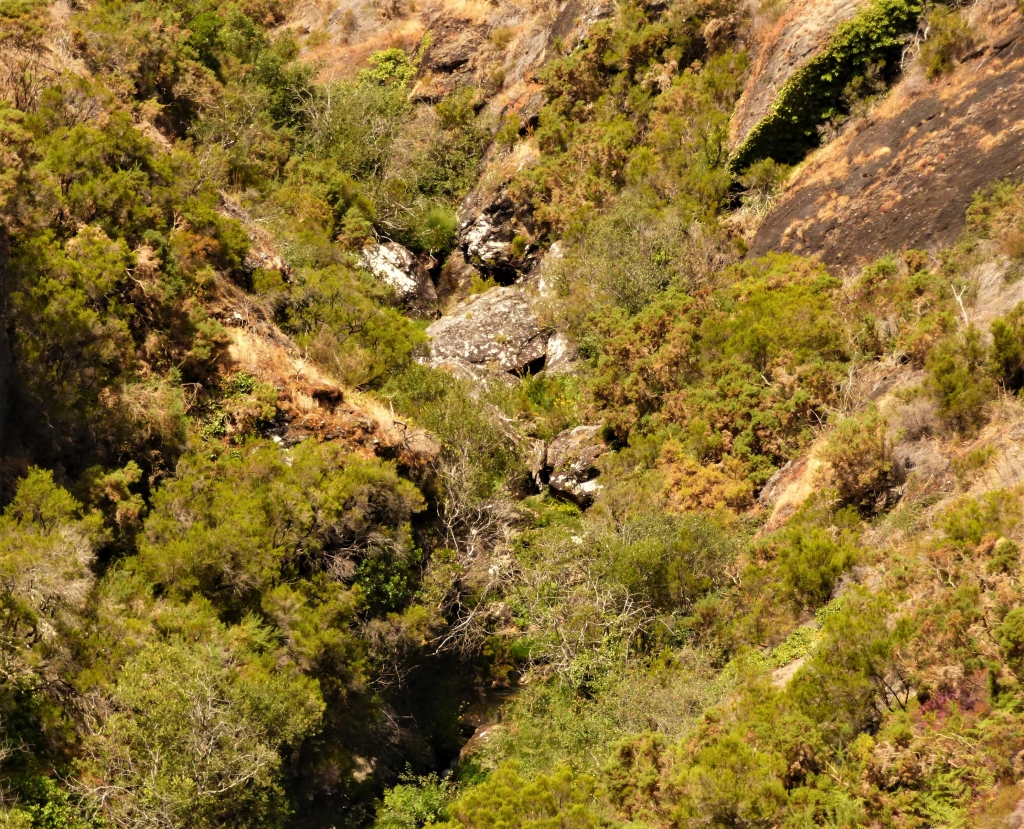 Reserva Natural Fluvial del Río Ulla-Deza. Zona: Río Asneiro