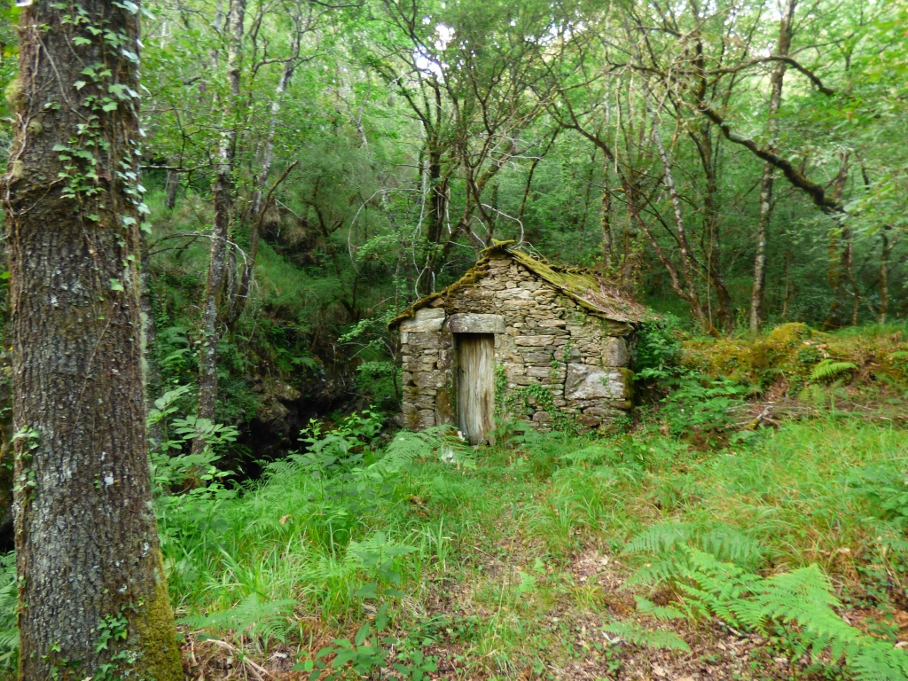 Reserva Natural Fluvial del Río Ulla-Deza. Zona: Río Asneiro