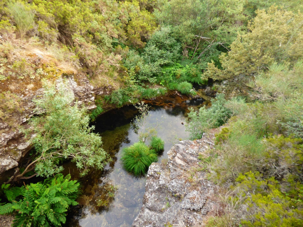 Reserva Natural Fluvial del Río Ulla-Deza. Zona: Río Asneiro