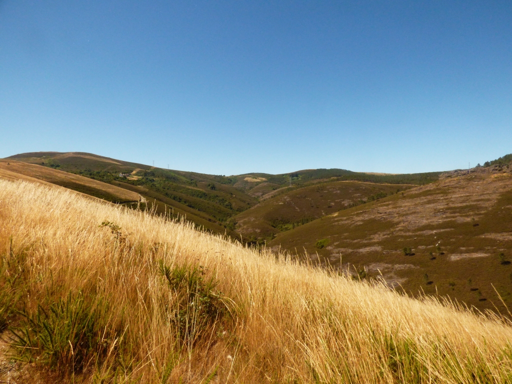 Reserva Natural Fluvial del Río Ulla-Deza. Zona: Deza