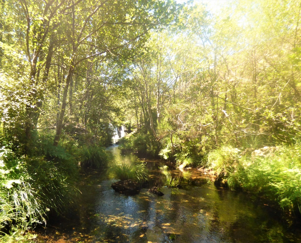 Reserva Natural Fluvial del Río Ulla-Deza. Zona: Deza
