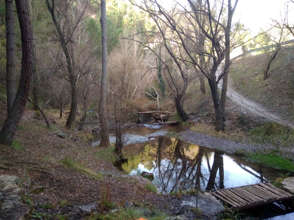 Entorno de la Fuente Los Trucheros, en la margen izquierda del río Aguas Blancas.
