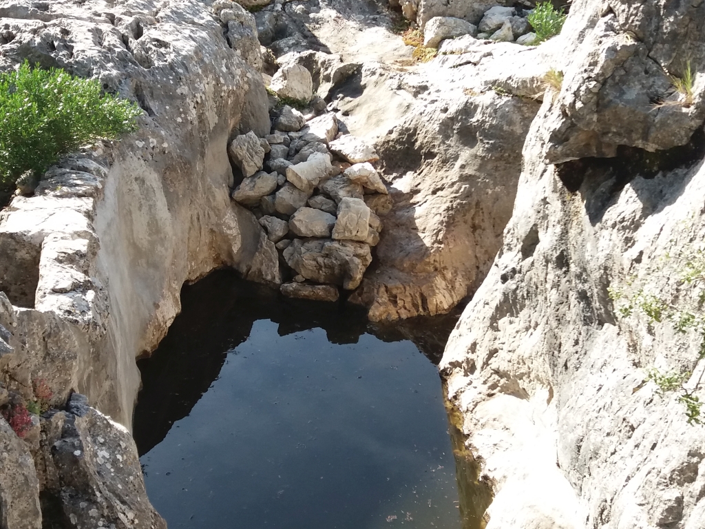 Reserva Natural Fluvial Torrent de Comafreda - Picarols