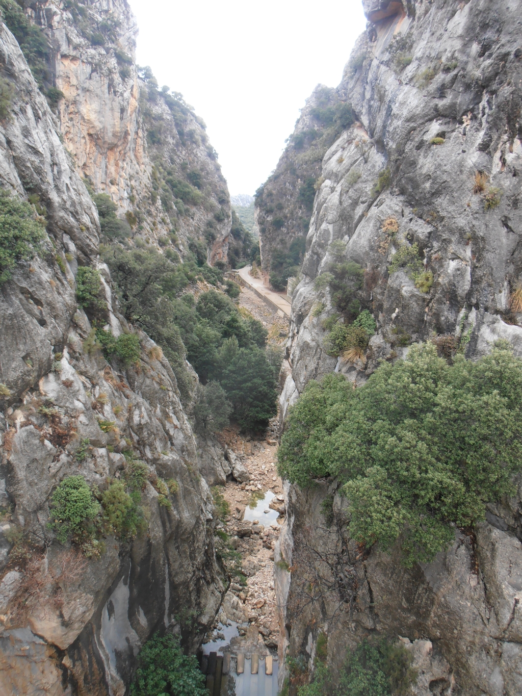 Reserva Natural Fluvial Torrent de Lluc - Pareis