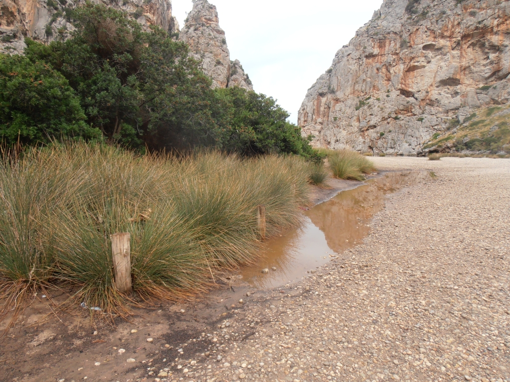 Reserva Natural Fluvial Torrent de Lluc - Pareis