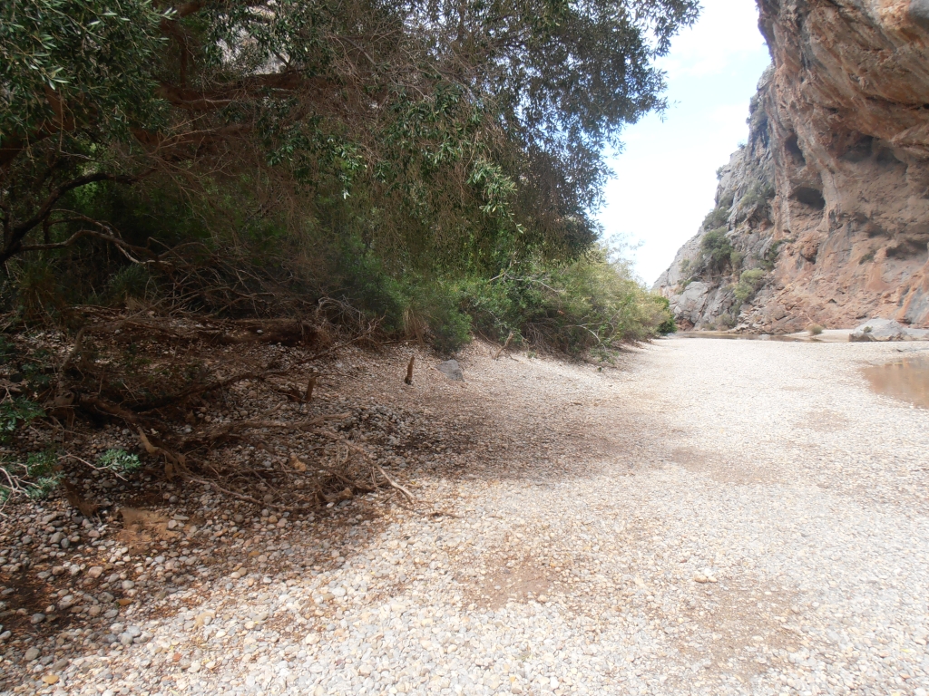 Reserva Natural Fluvial Torrent de Lluc - Pareis