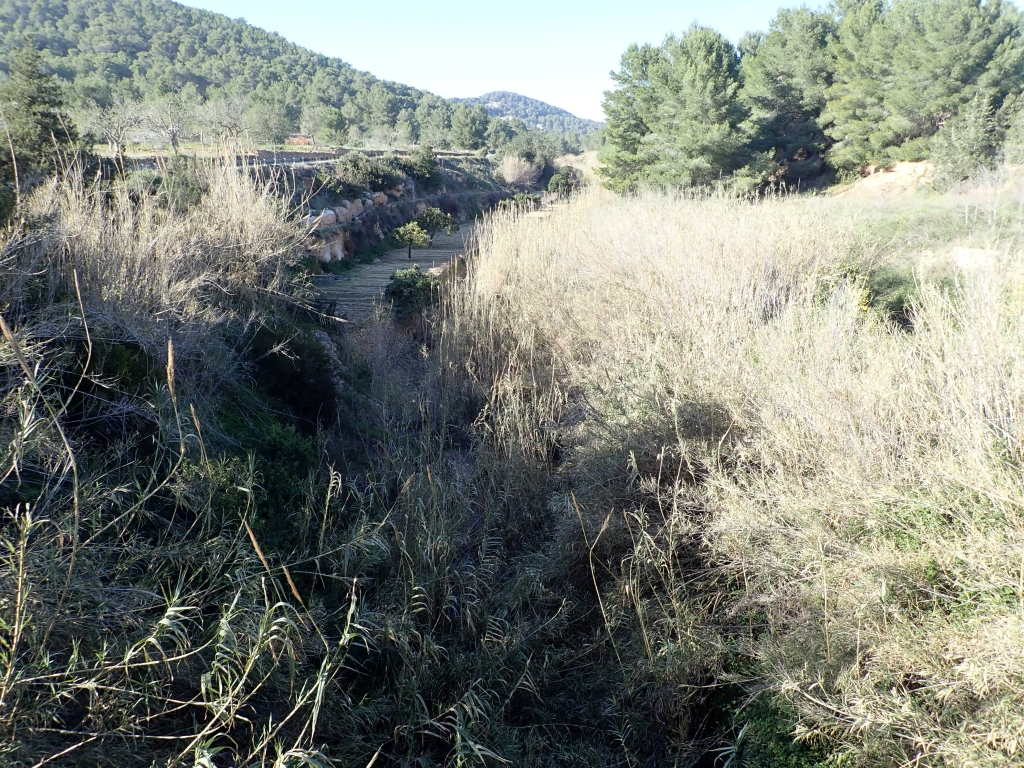 Reserva Natural Fluvial Torrent des Verger - Jondal