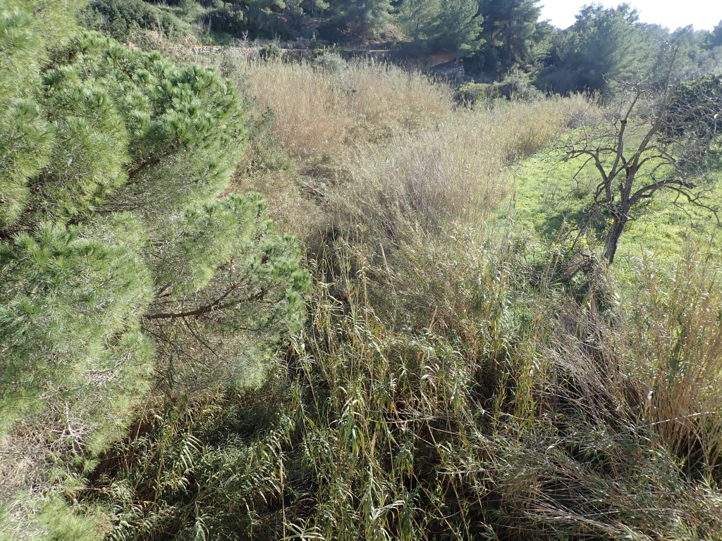 Reserva Natural Fluvial Torrent des Verger - Jondal