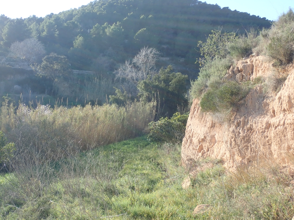 Reserva Natural Fluvial Torrent des Verger - Jondal
