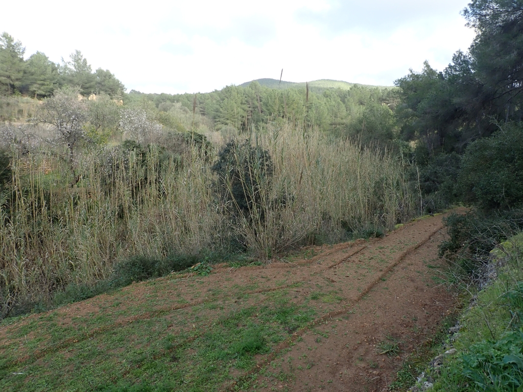 Reserva Natural Fluvial Torrent des Verger - Jondal