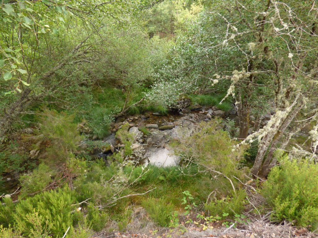 Vista superior de un tramo del cauce de la reserva natural fluvial Rego da Ribeira Grande