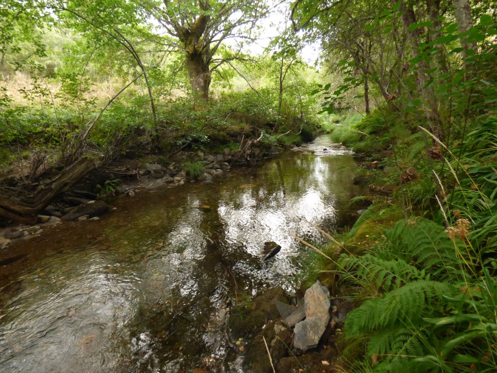 Secuencia rápidos y remansos de la reserva natural fluvial Rego da Ribeira Grande