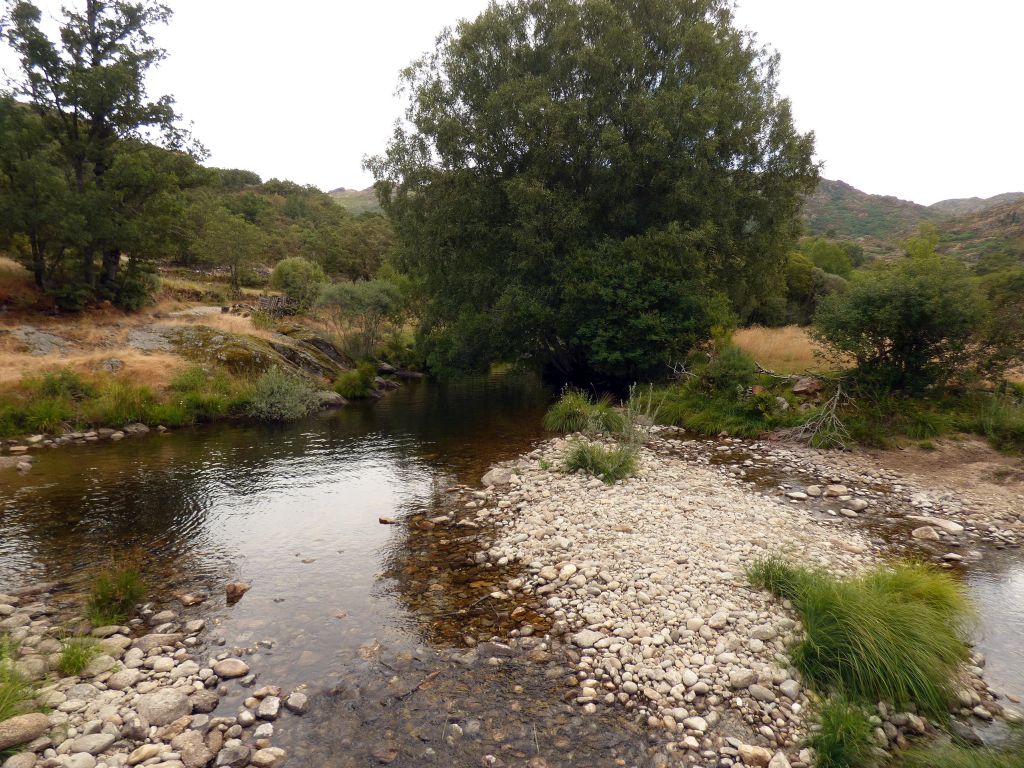 Isla incipiente en el cauce de la reserva natural fluvial Río Bibey I