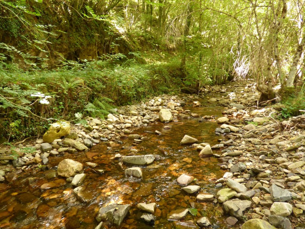 Vista del cauce de la reserva natural fluvial Río Burbia I
