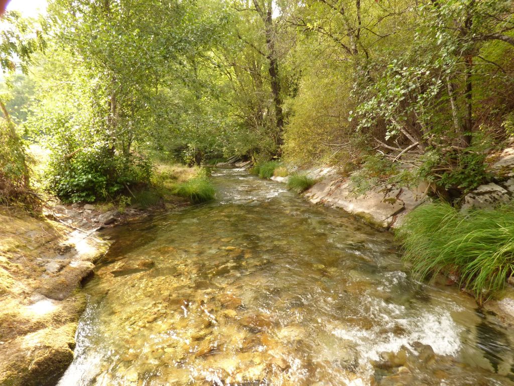 Zona de rápidos en la reserva natural fluvial Río Lor I
