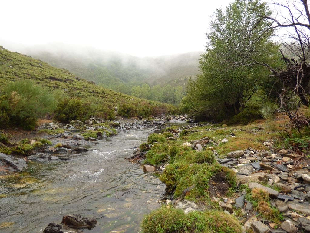 Vista del cauce en un tramo de la reserva natural fluvial Río Navea I