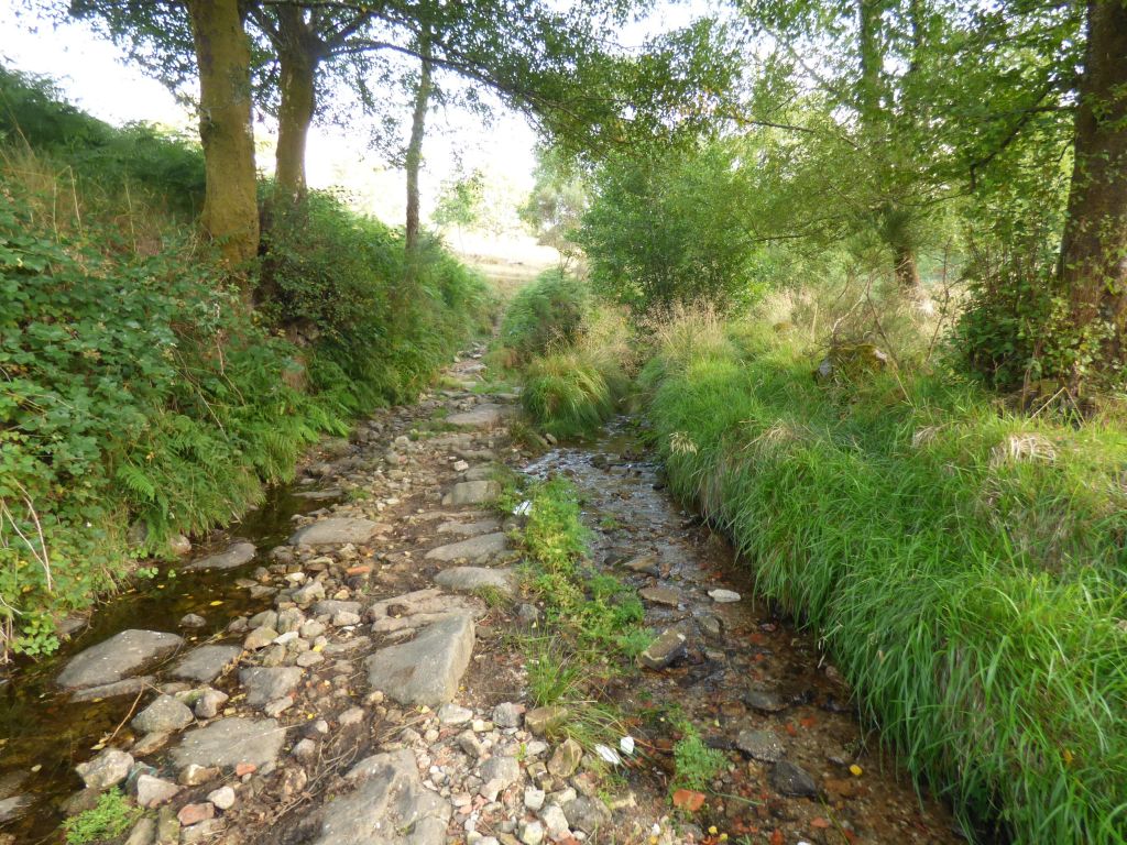Camino paralelo al cauce de la reserva natural fluvial Río Trancoso