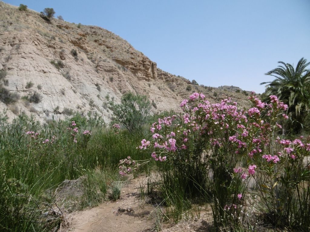 Salto de agua en la reserva natural fluvial Río Chícamo